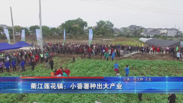 导语:衢江区莲花镇外黄村曾是生猪养殖大村,自2015年生猪整规后,镇村