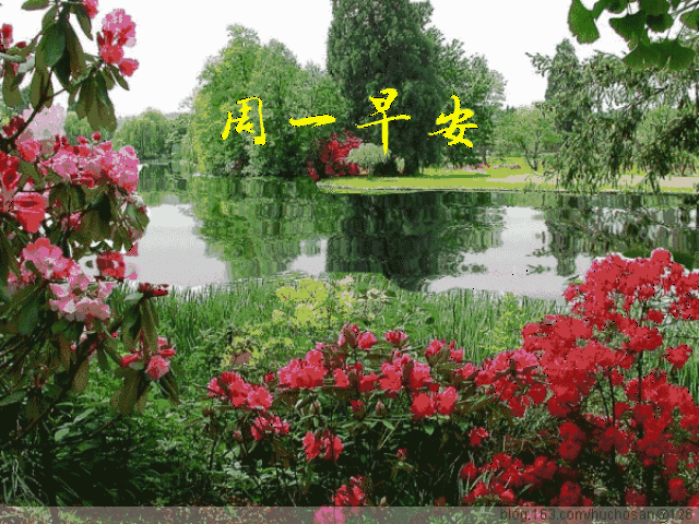 周一早晨好,崭新的一天开始!
