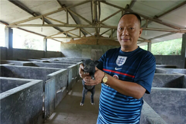 养殖专业U8国际- U8国际官方网站- U8体育APP下载合作社简介1