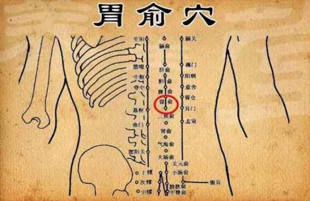 手足发冷艾灸哪些穴位?