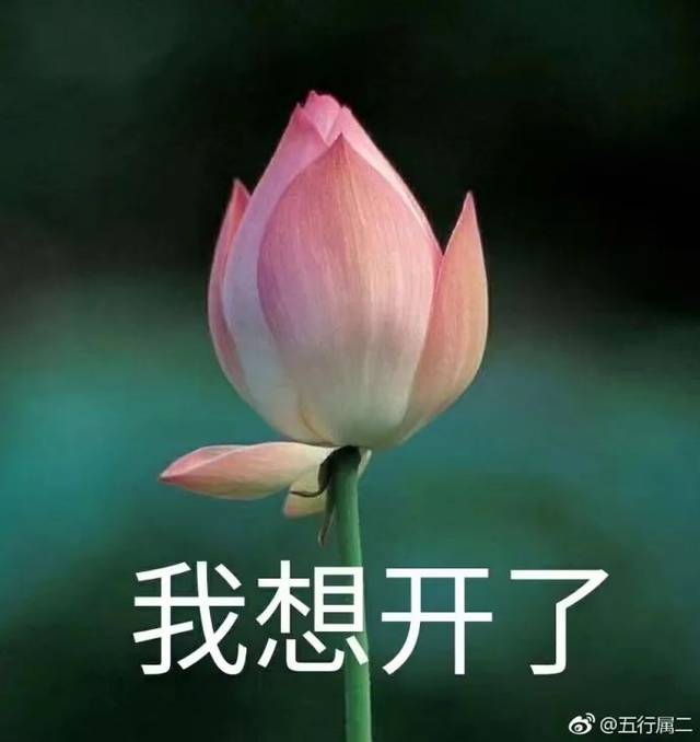 ▽ 保存图片到手机相册——打开微信——我——表情——右击【右上角