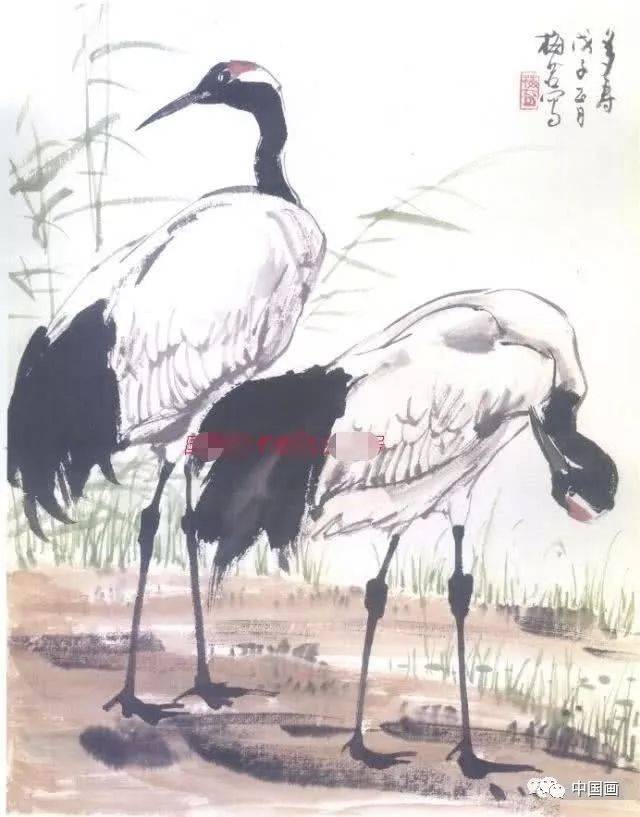 怎么画丹顶鹤,仙鹤的各种姿态详解,国画仙鹤画法步骤大全