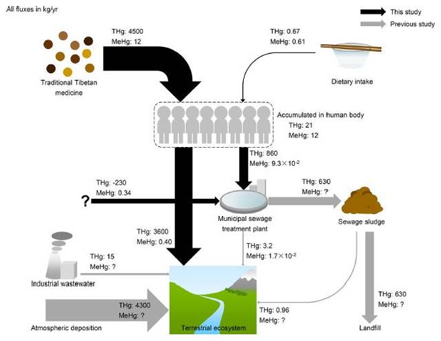 总汞和甲基汞从摄入到释放到西藏自然环境中的生命周期