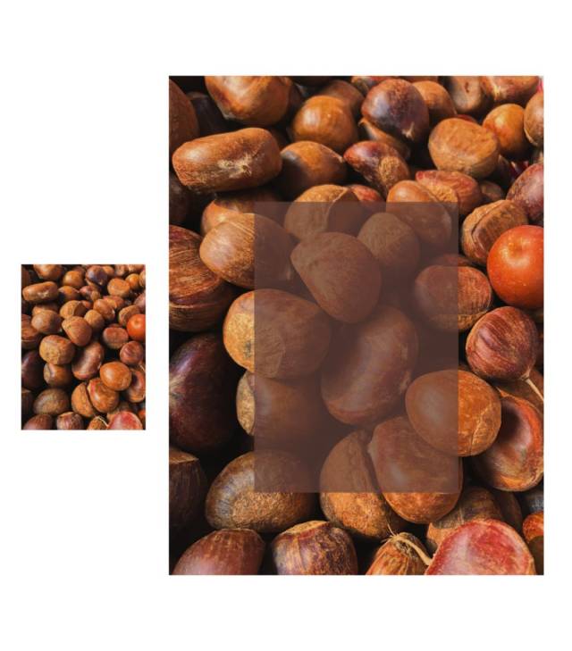 自从认识了咖色系瓷砖,我就成了好色之徒