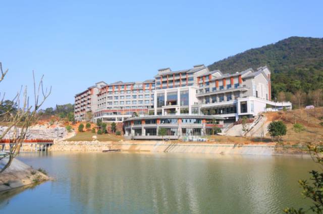 499元~云浮新兴翔顺象窝酒店,含蜜月房一房一厅 双人自助早晚餐 象窝