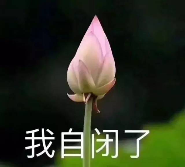 这真的是今年最接地气的表情包了!看完我保存了!