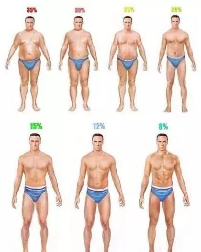 结合下面的对照表 是一个很标准的体型 体脂率对照表 有的人分不清