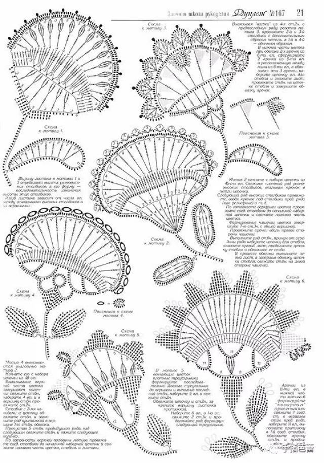 爱尔兰孔雀,花的钩织图解