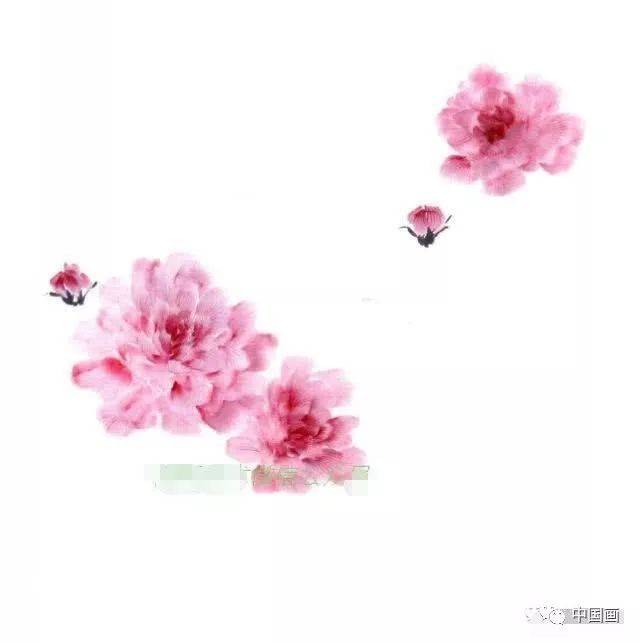 芙蓉花国画的绘画技法,写意芙蓉步骤详解