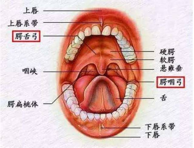 2,慢性咽炎