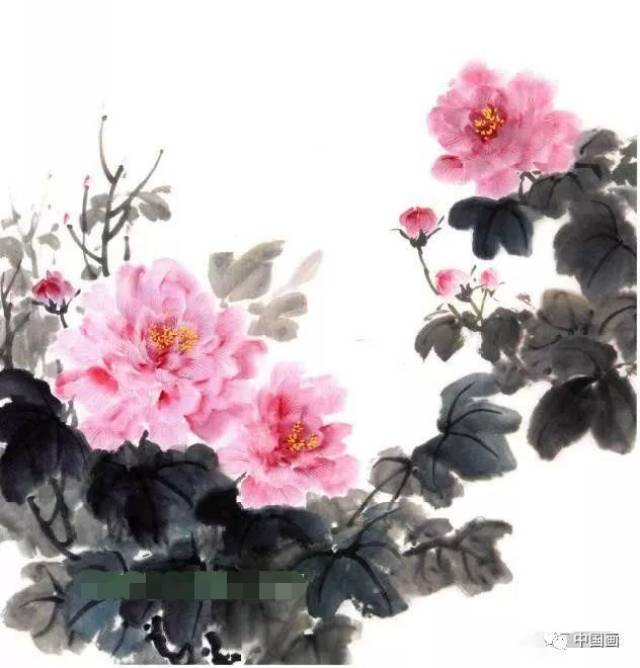 【国画知识】芙蓉花国画的绘画技法,写意芙蓉步骤详解