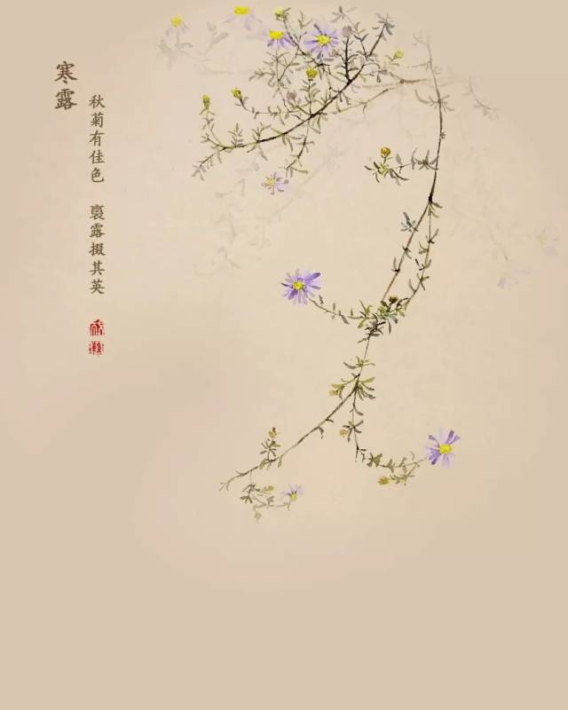 寒露