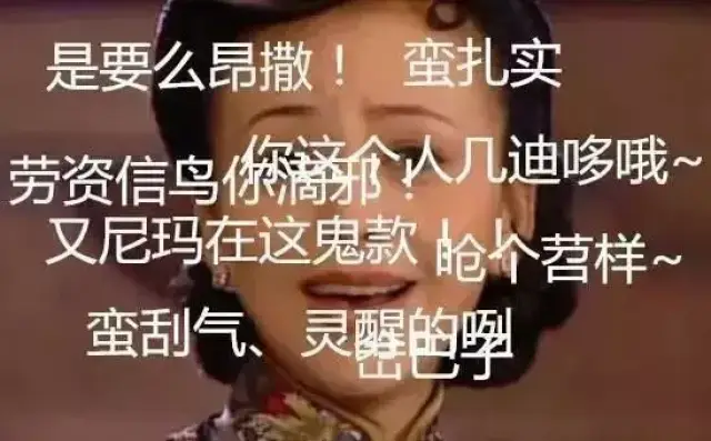 普通话骂人是没有灵魂的