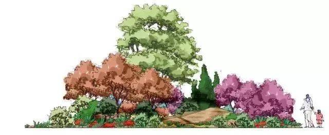 各种环境下的植物组团配置秘籍 · 超实用!超全!