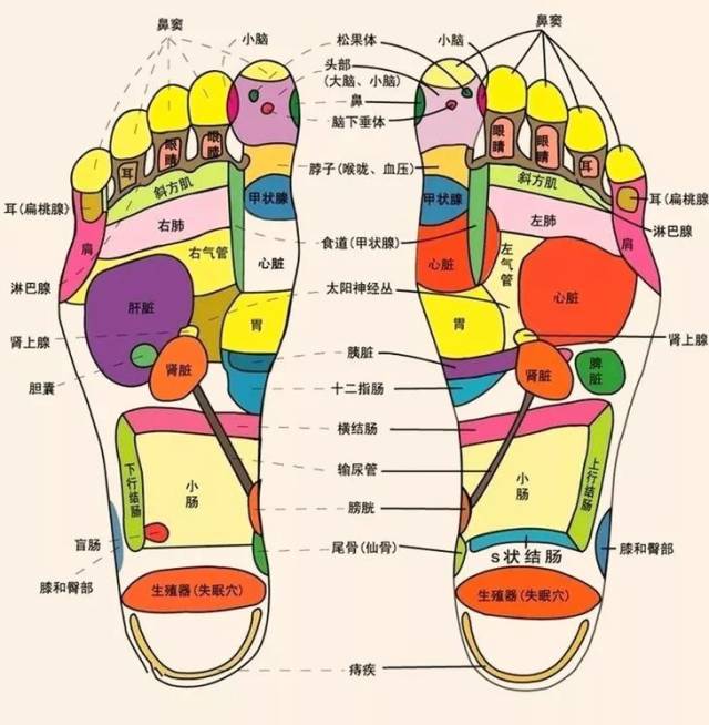 人体的五脏六腑在脚上都有对应的投影, 早在东汉神医华佗所著
