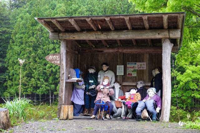 日本最恐怖村落,350个人偶遍布村庄四处