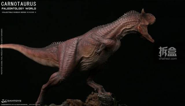 damtoys 博物馆系列 食肉牛龙 carnotaurus 全身场景雕像 普通版,豪华