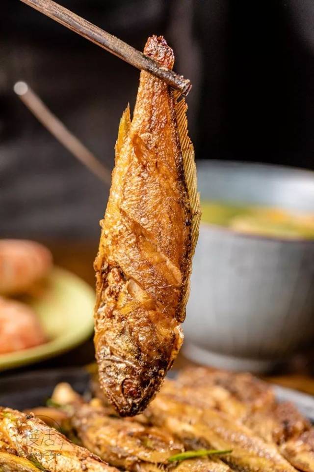 来自南澳岛渔船的第一手海鲜,汕头大哥直播海