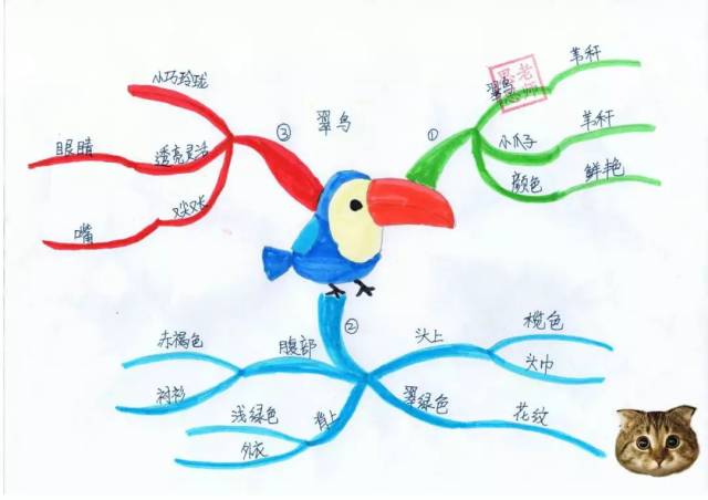 背诵型思维导图【第一天】翠鸟