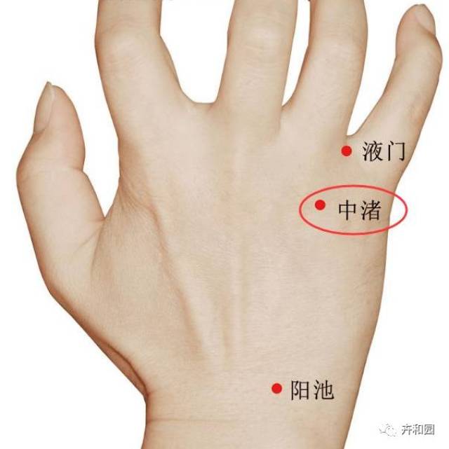 5,中渚穴 位置:在手背部,当第4掌指关节的后方,第4,5掌骨间凹陷处.