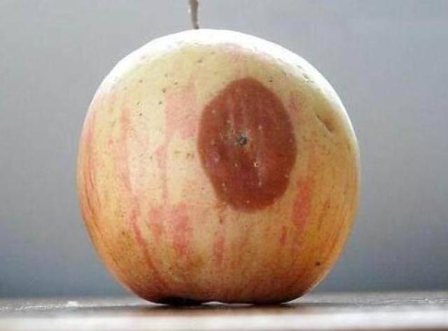 3,吃苹果的误区:局部腐烂的苹果,还能不能吃?