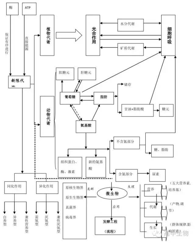 【生物】6张知识结构网络图,涵盖整个高考生物必考点!