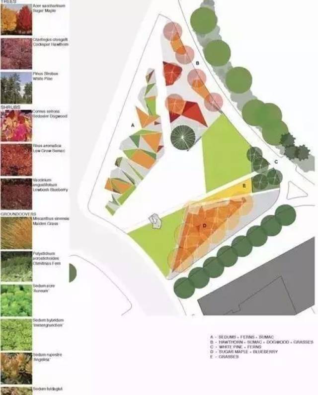 种植分析图主要是体现场地植物季相景观,色彩搭配以及种植搭配等不同