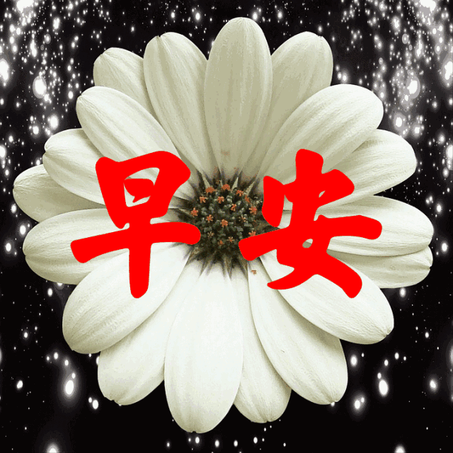 天冷了,一曲《我的思念寄风里》送给远方最想念的人!