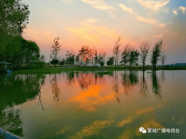 图片来源:蒙城电视台 这不,蒙城的一颗明珠一一立仓三圩芡河湿地灰 