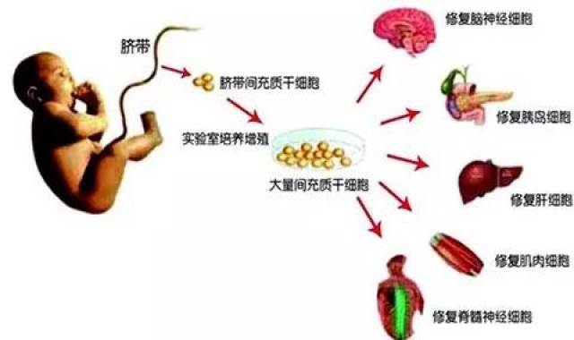 检验检疫技术中心改革：迈向高效监管的未来