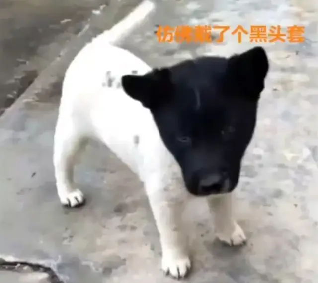 同桌上课偷偷摸我大腿,我该怎么办?