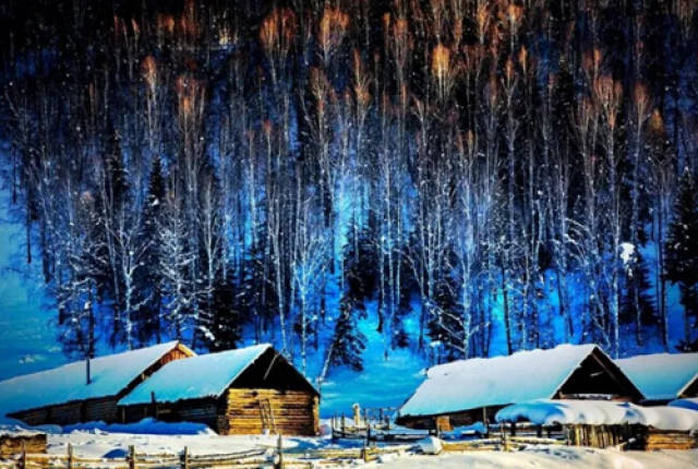 黑白分明的世界,有意思旅游分享冬季值得去的