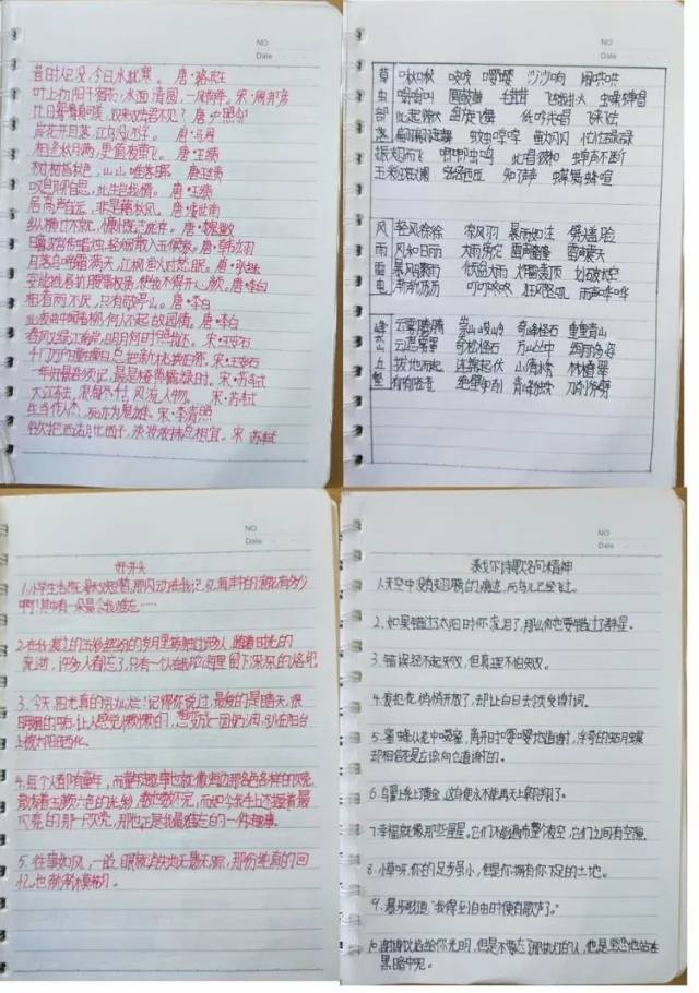 六年级的学生认真地积累着知识,这本读书笔记是他们永远的珍藏.
