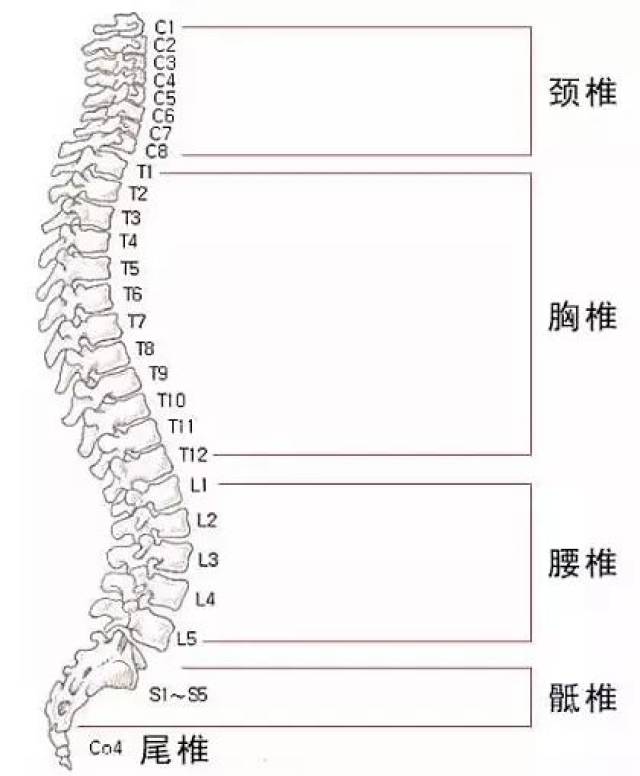 再攀高峰,广华医院把"骨水泥"灌入胸2椎体!