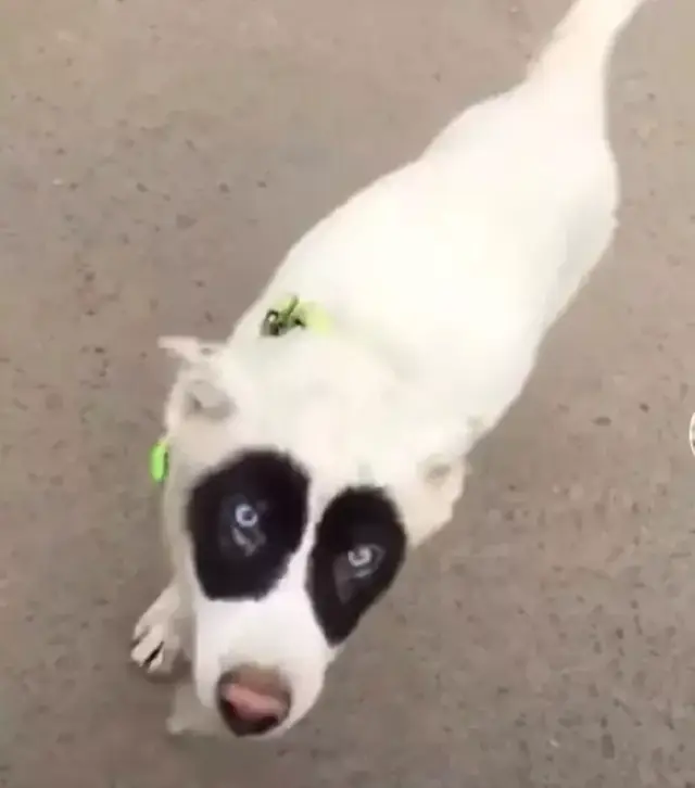 同桌上课偷偷摸我大腿,我该怎么办?