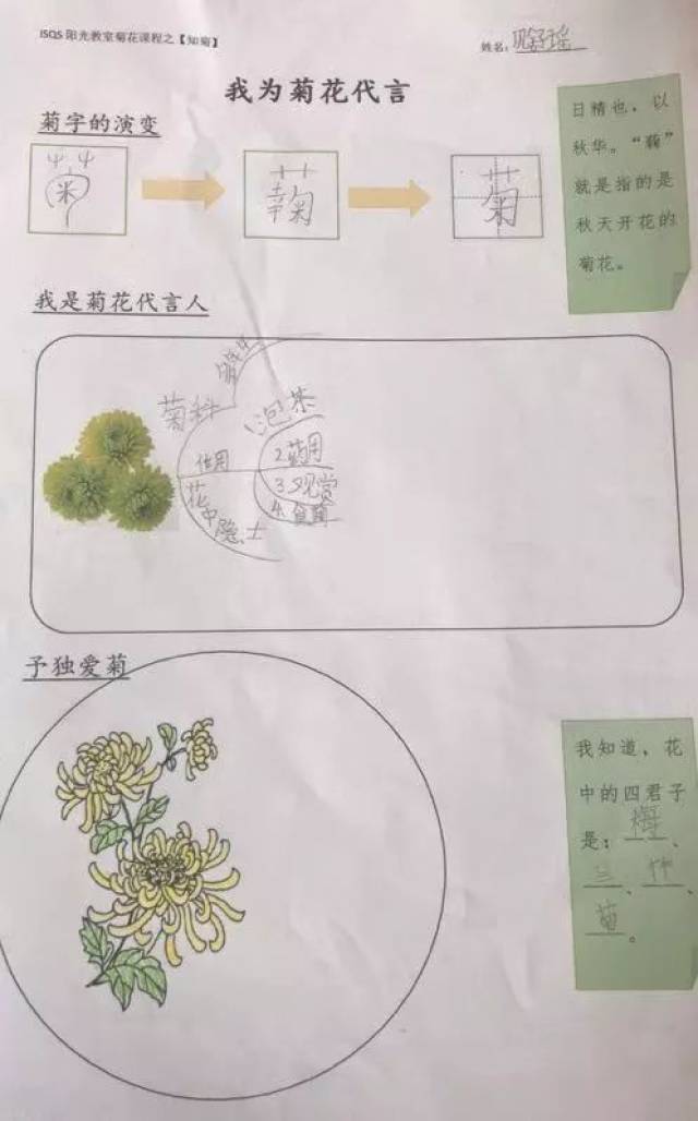 在知识问答赛中让孩子们了解菊花的菊科,功效,花语等,并用思维导图的