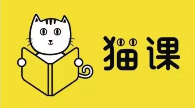 猫课蒋晖:为什么猫课淘宝运营课程值得你学习?