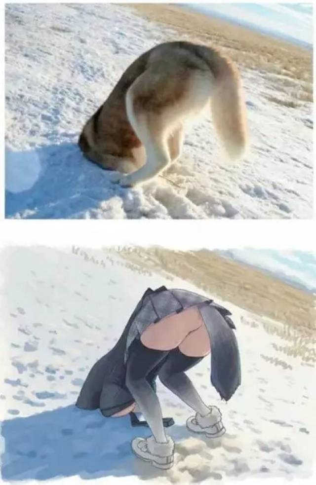 一旦进行娘化之后就觉得不太对劲