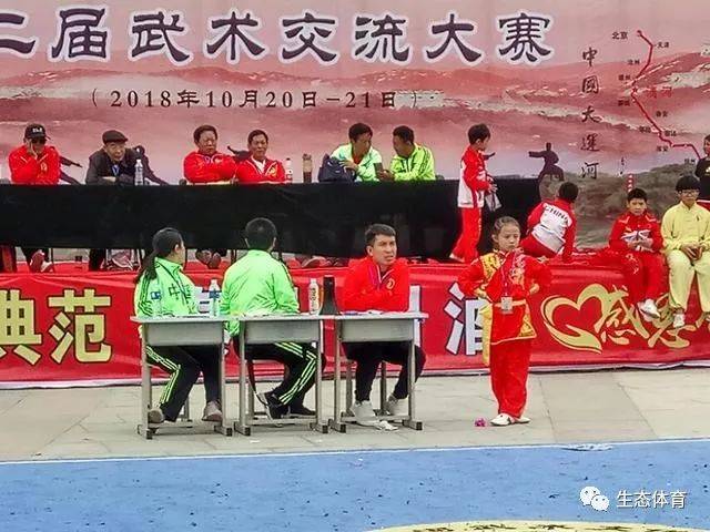 2018年清河大运河武术文化联盟第二届武术交流大赛开幕