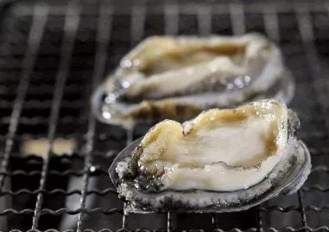 带你见识一下世界上最大的鲍鱼--红鲍