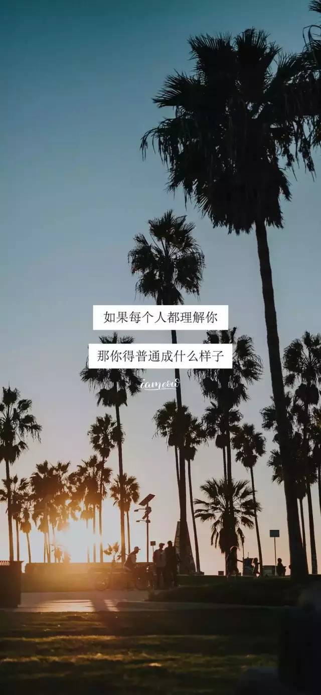 壁纸| 我不稀罕浪子回头 喜欢我的人一开始就要痴心不