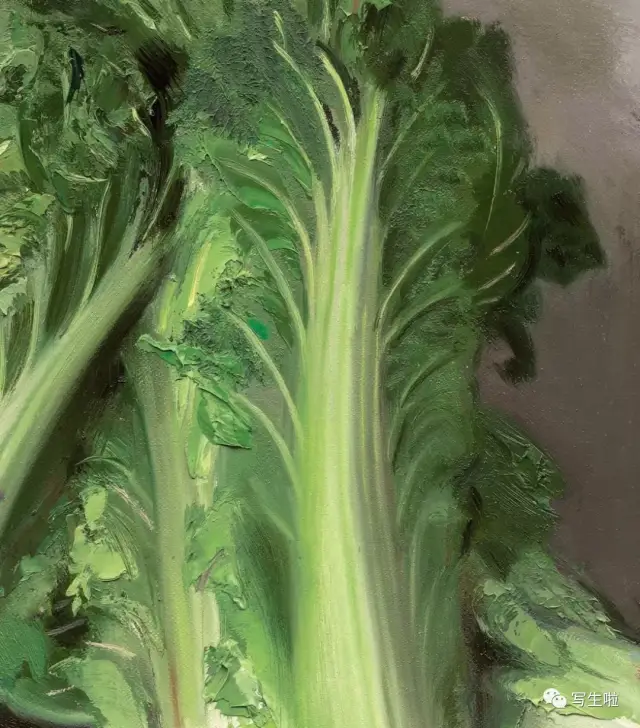 冷军:忻东旺的白菜是天下第一白菜,无可挑剔,只能惊叹!(附高清细节图)