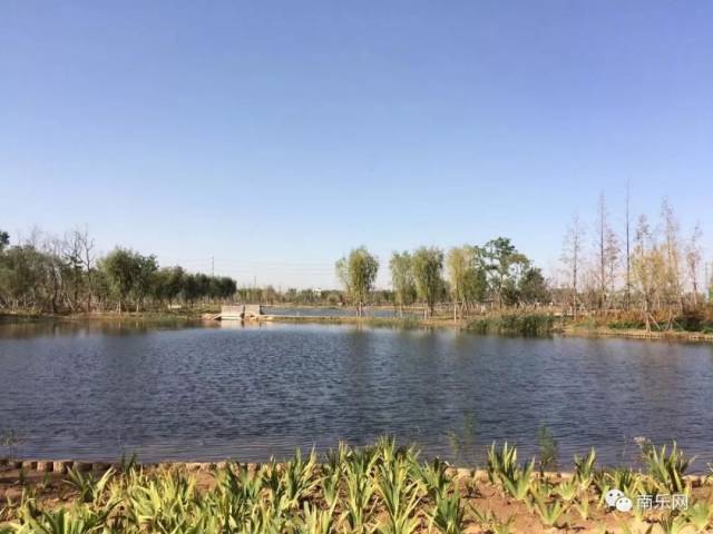 南乐东湖刚拍的照片,比西湖还美,还有超火的"网红草",你来看过来没?