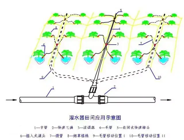 5,渗灌