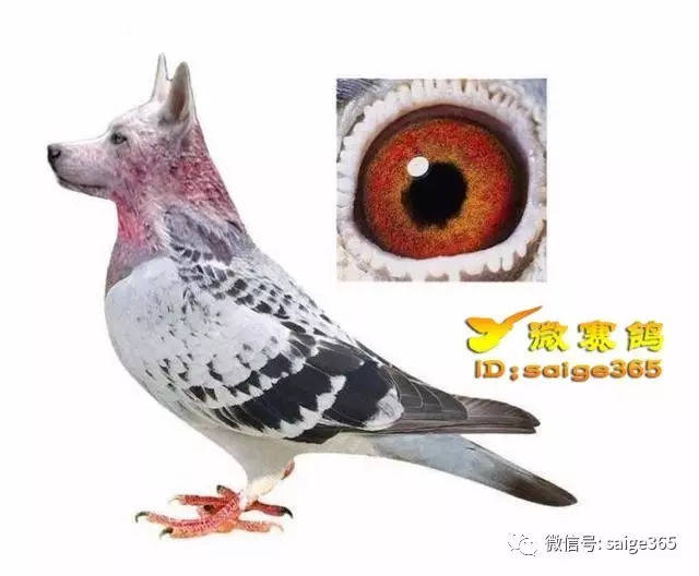 ͼ֮治,Щʶ