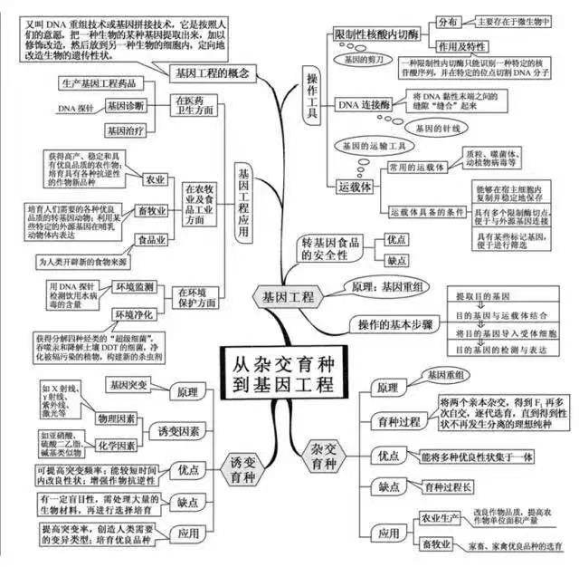 高中生物思维导图,齐全!