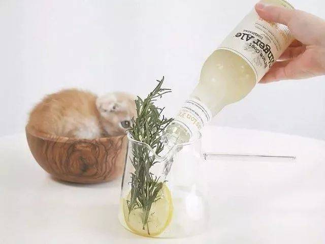 百无一用是深情,不屑一顾最相思