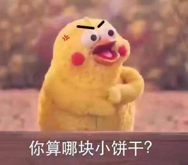 "你瞅啥?""瞅你咋滴!"