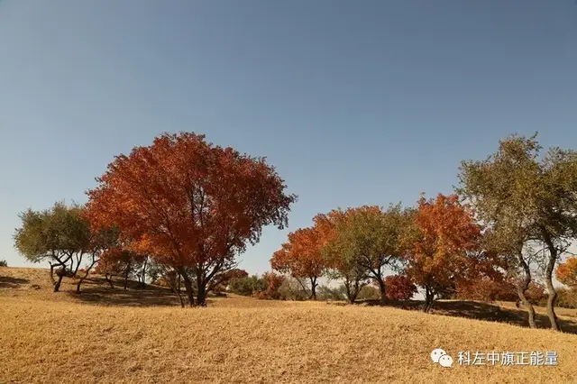 这里是科尔沁左翼中旗