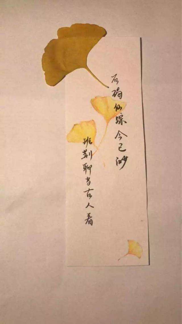 【"银你而来,杏思坐忆"---银杏树叶书签设计大赛投票】